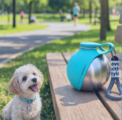 BauGo – Agua y snacks, siempre contigo